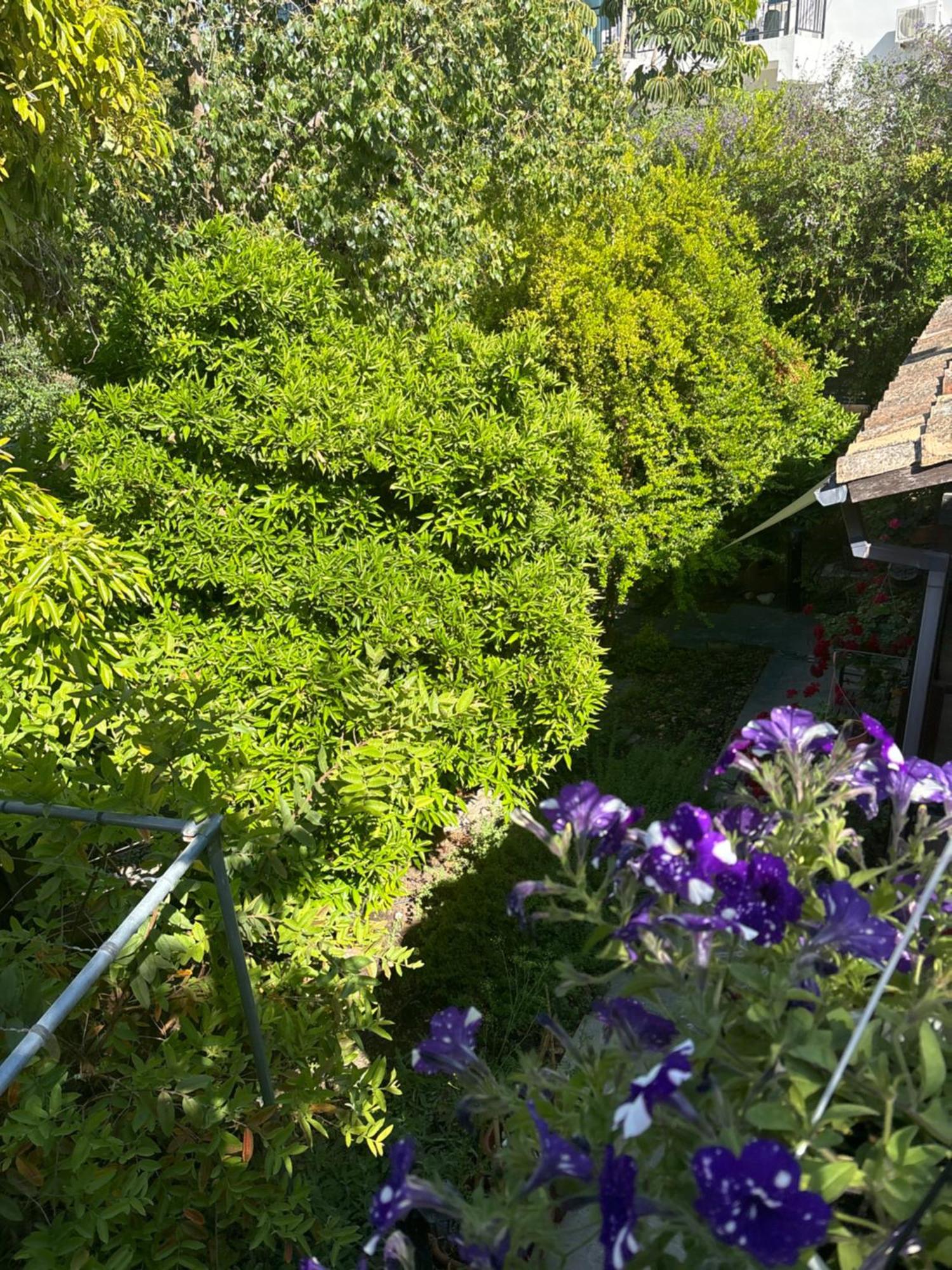 Vasilion Agrotourism Villa Polis Kültér fotó