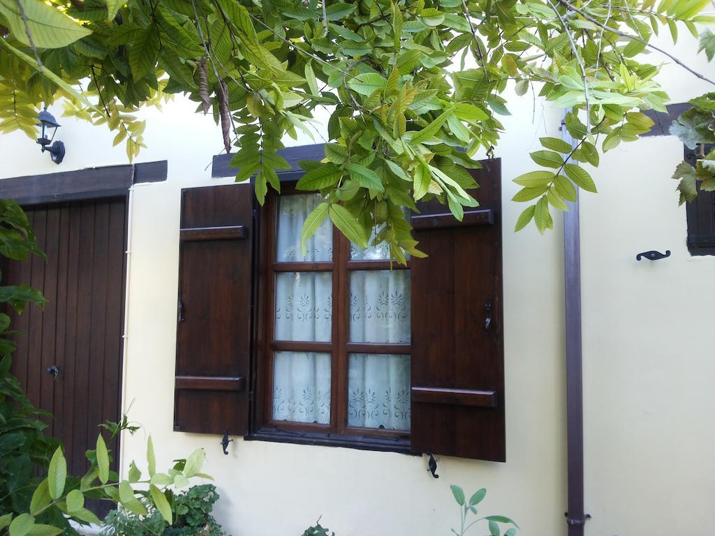 Vasilion Agrotourism Villa Polis Szoba fotó