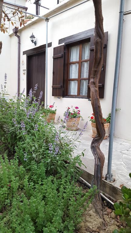 Vasilion Agrotourism Villa Polis Kültér fotó