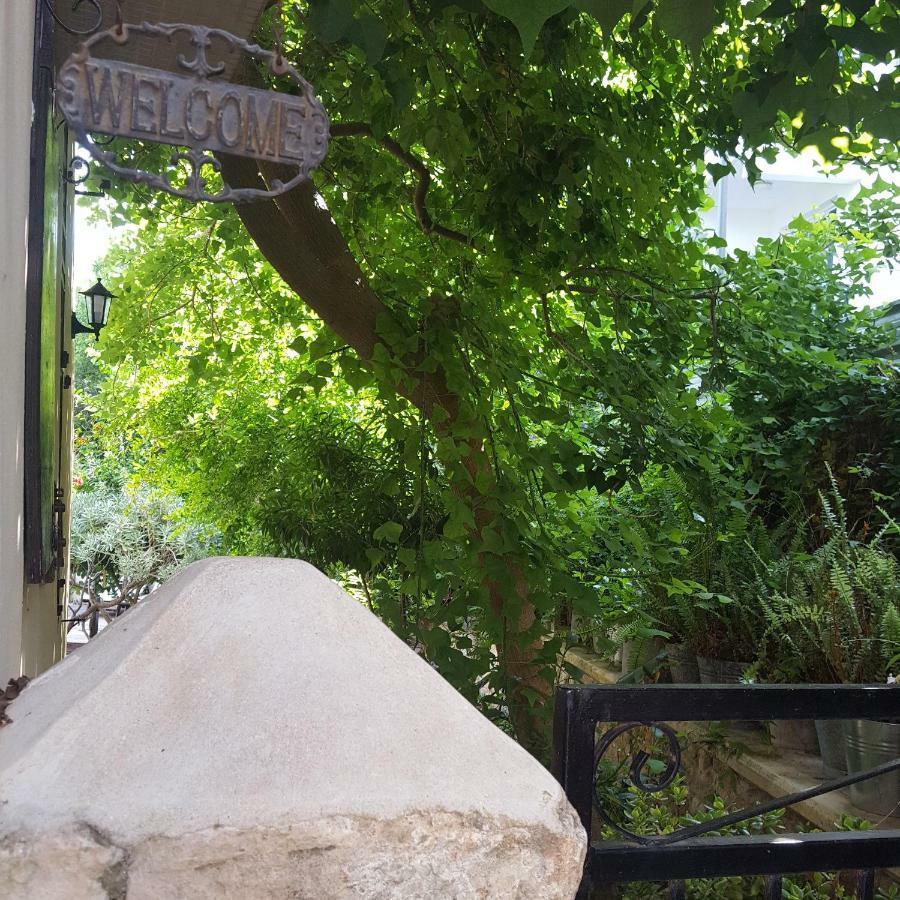 Vasilion Agrotourism Villa Polis Kültér fotó